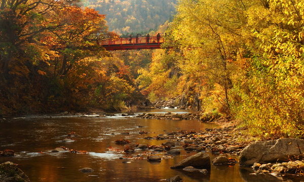 定山渓二見吊橋の紅葉